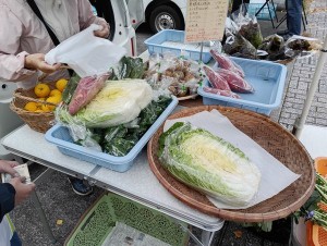 6 IMG_20251109_065306(加工)