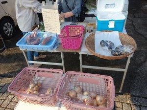 9 IMG_20251012_065257(加工)
